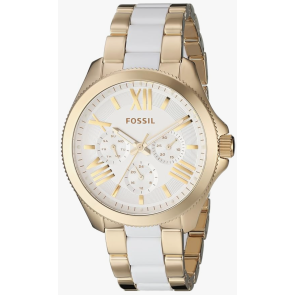 Bracelet de montre Fossil AM4545 Acier Bicolore 20mm